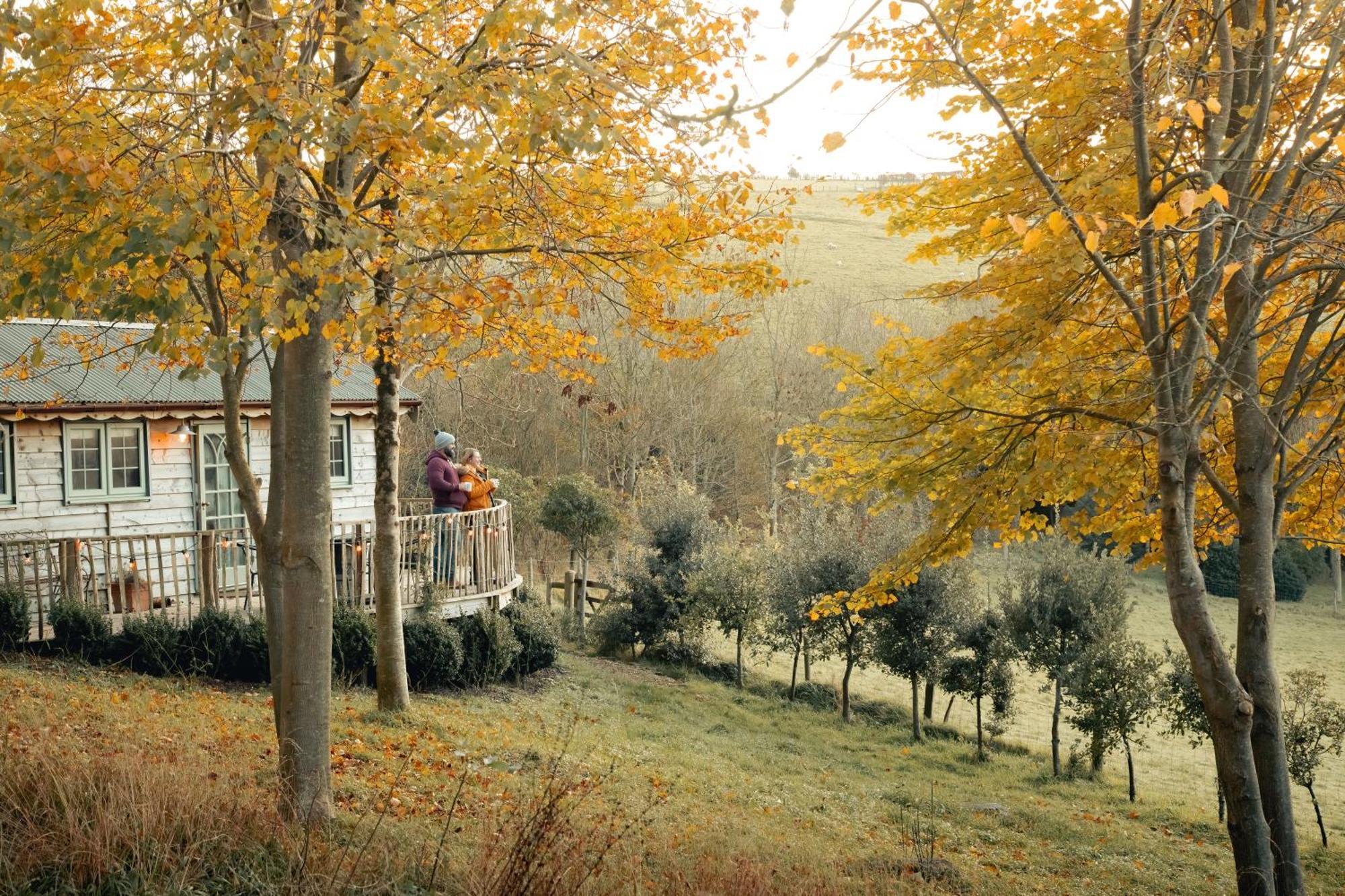Cottage Orne Long Bredy Εξωτερικό φωτογραφία