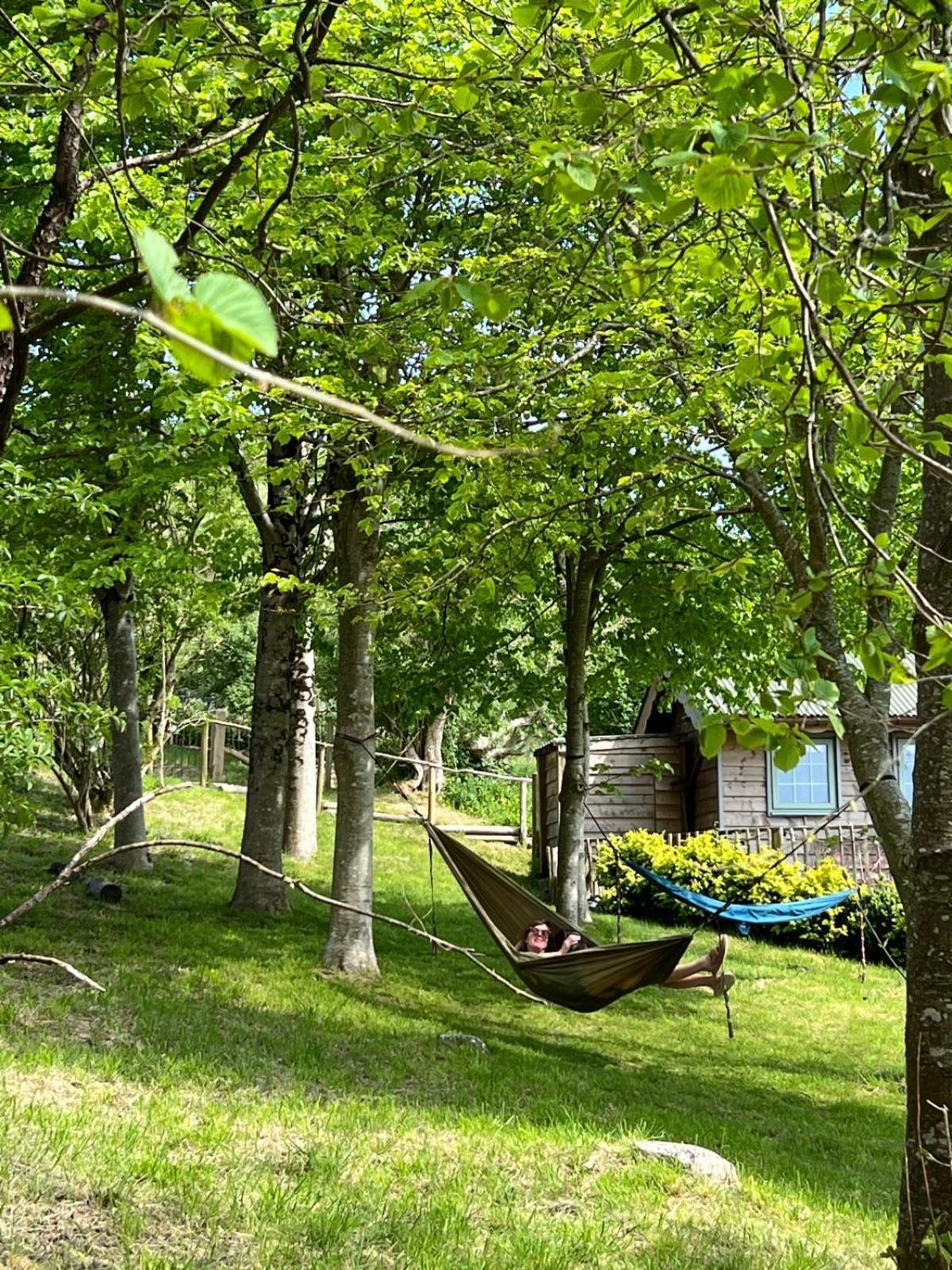Cottage Orne Long Bredy Εξωτερικό φωτογραφία